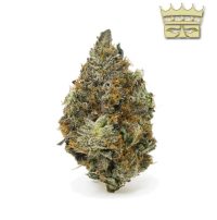 bubba-kings-kings-candy.jpg