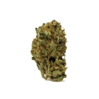 trs-popcorn-medium-size-buds-1.jpg