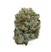 white-berry-cannabis-online-1canada-1.jpg