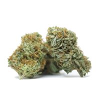 white-berry-cannabis-online-canada-1.jpg